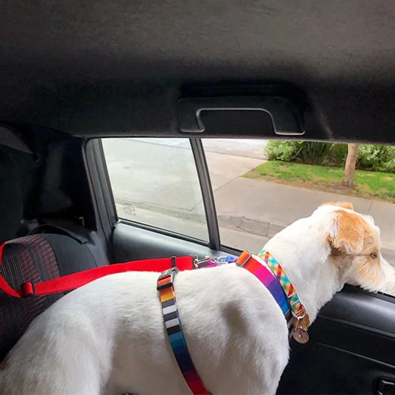 PawSecure Duo
