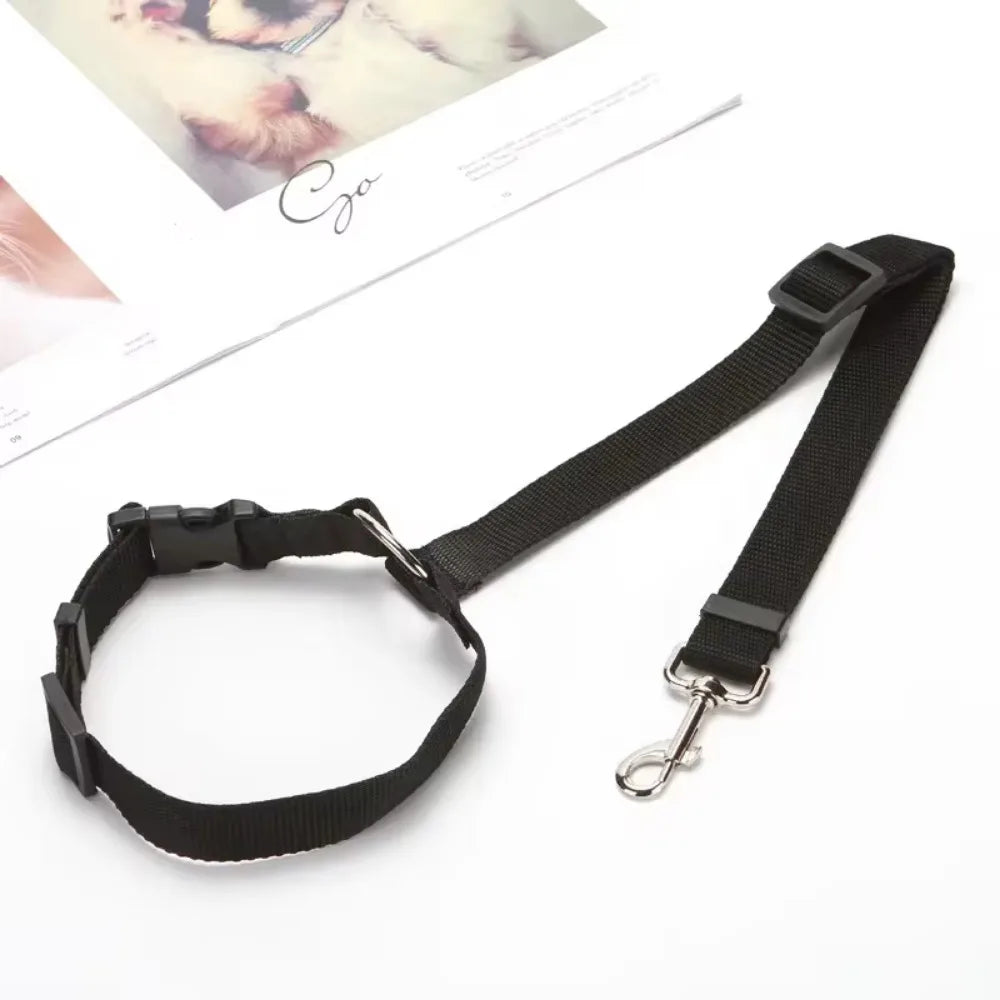 PawSecure Duo
