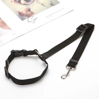 PawSecure Duo