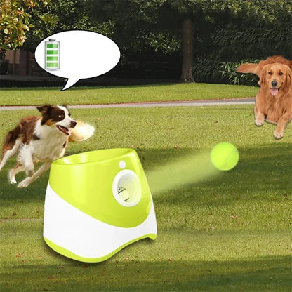 Zoom Ball