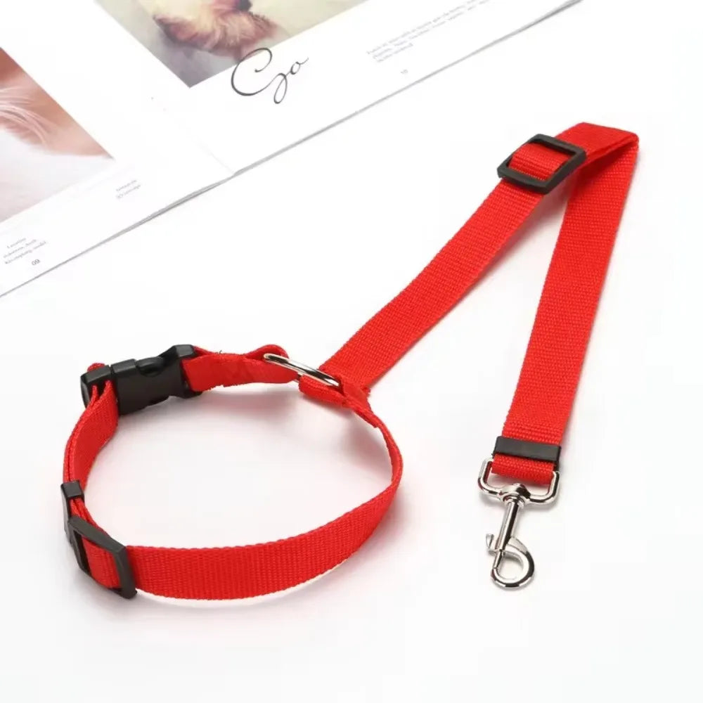 PawSecure Duo