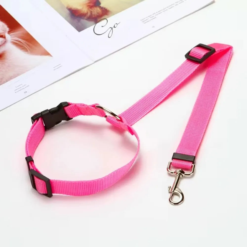 PawSecure Duo