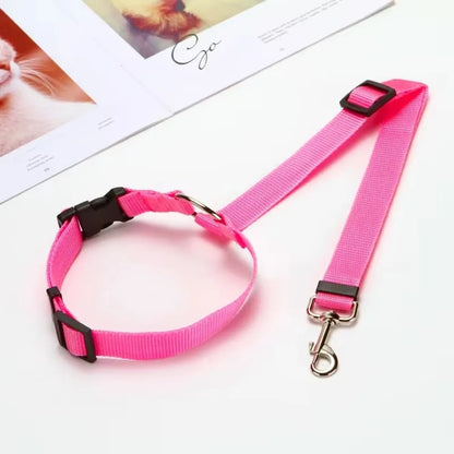 PawSecure Duo