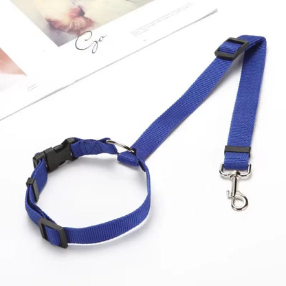 PawSecure Duo