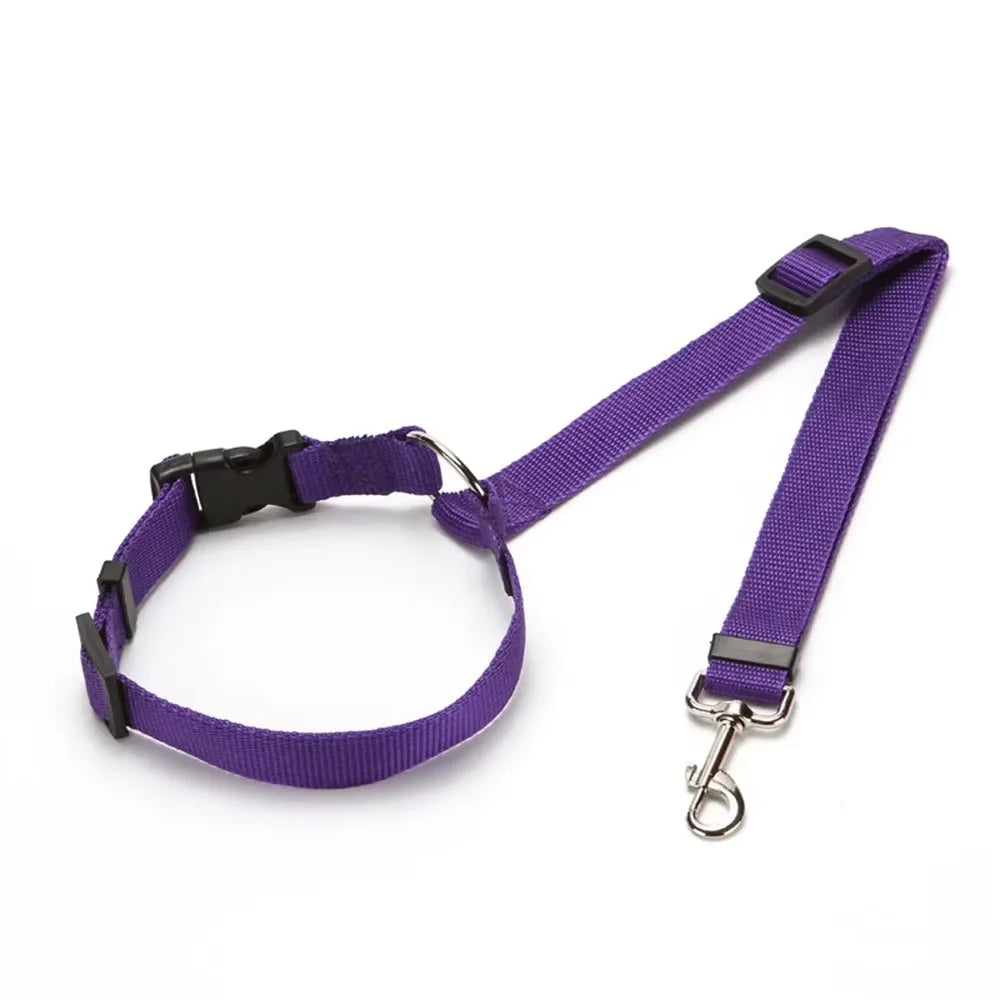 PawSecure Duo