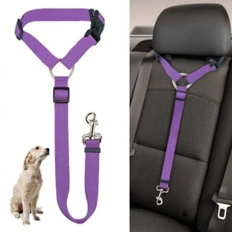 PawSecure Duo