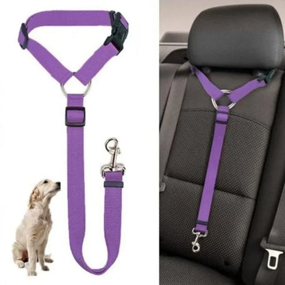 PawSecure Duo